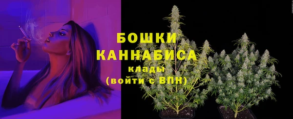 соль ск Нея