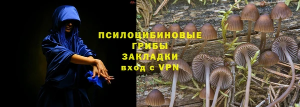 соль ск Нея